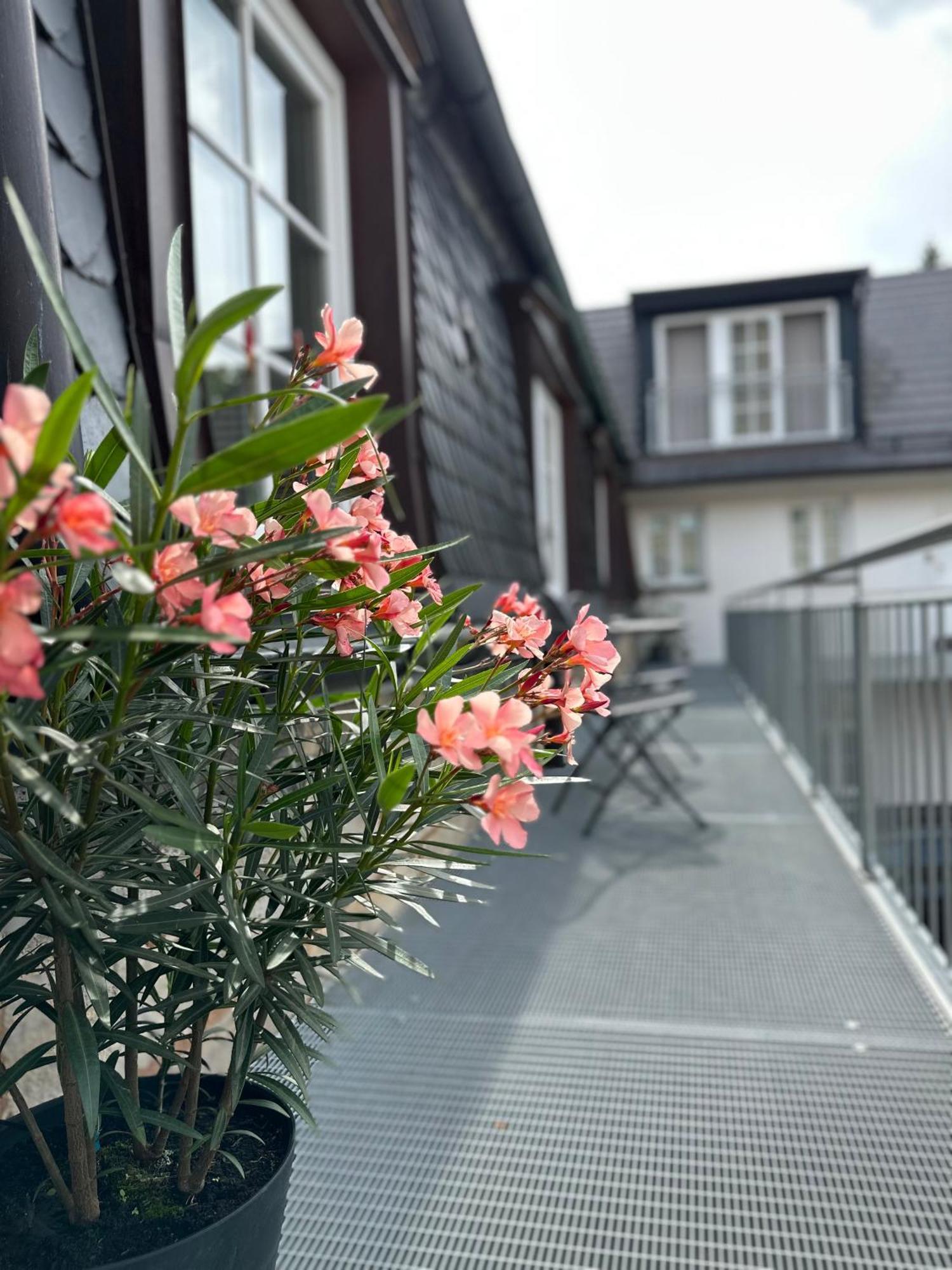 Rotmain Apartments Bayreuth Esterno foto